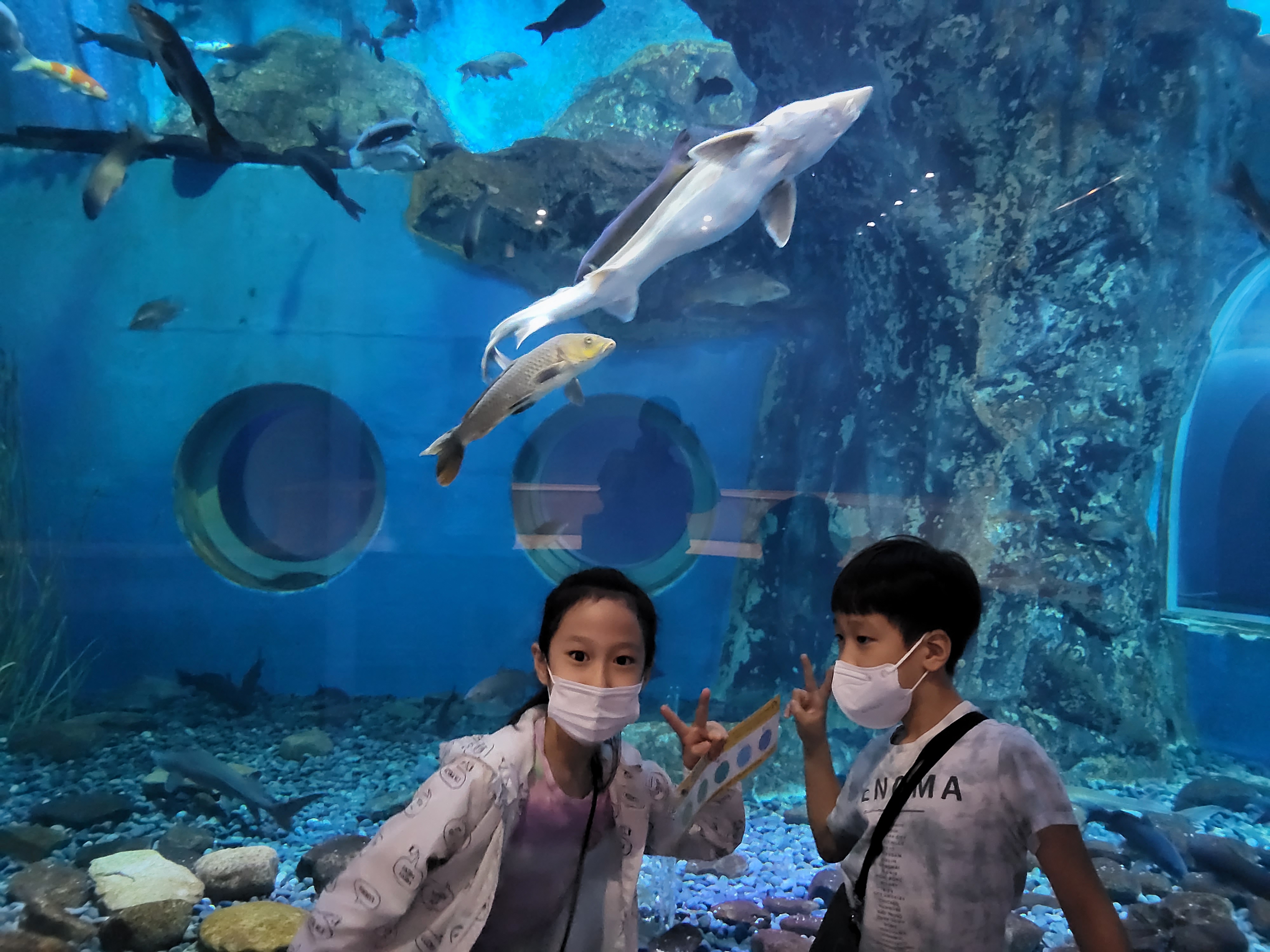 external_image external_image