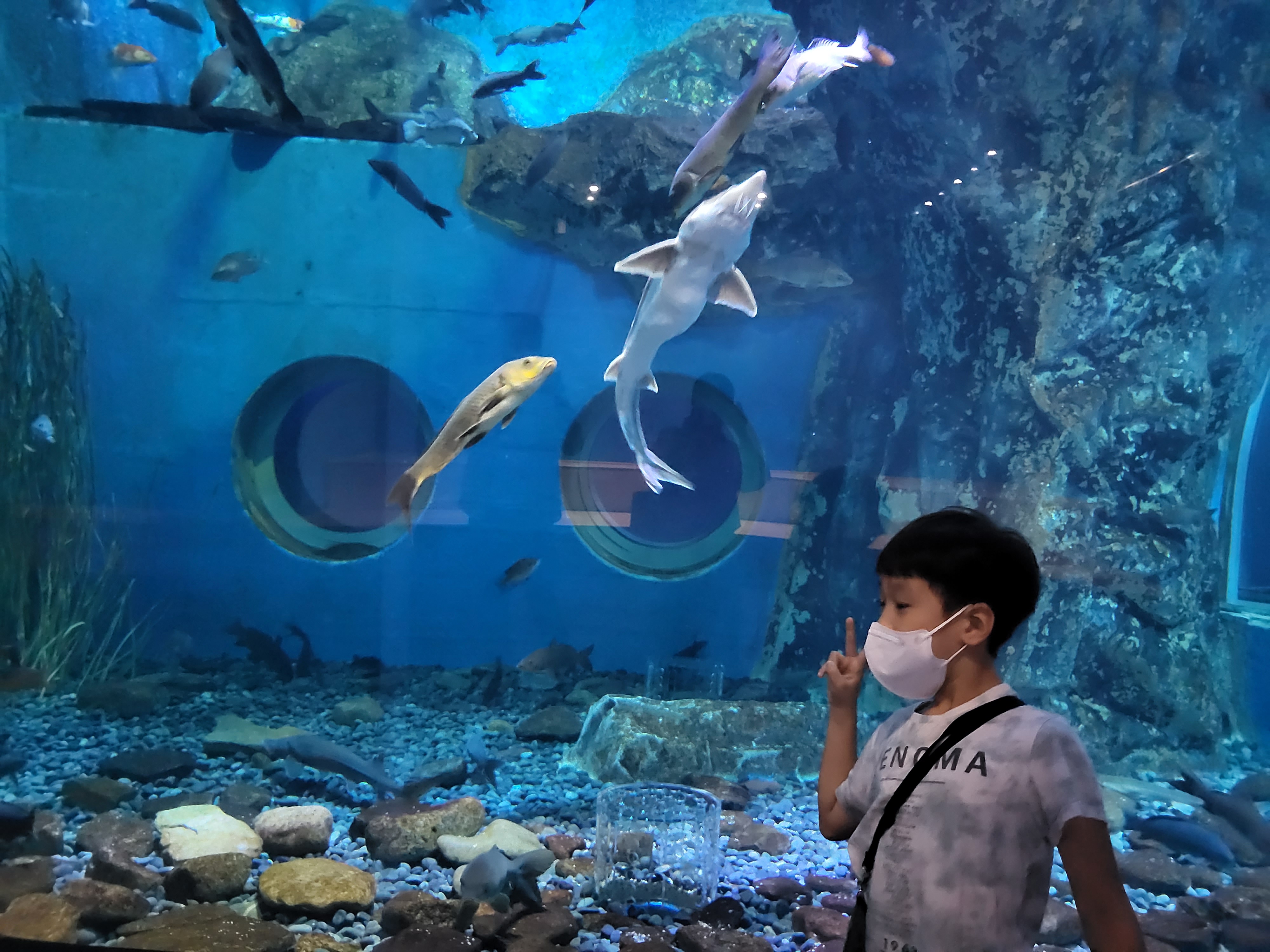 external_image external_image