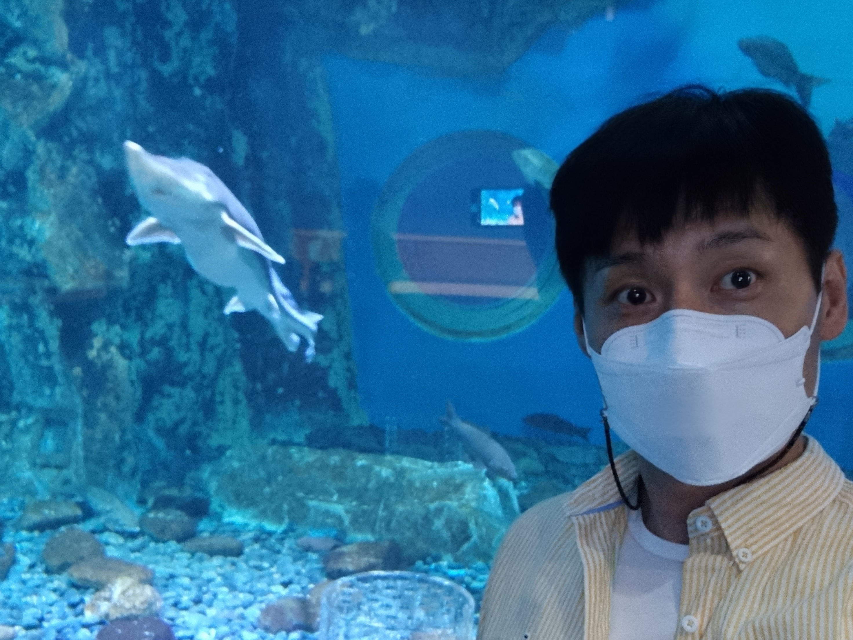 external_image external_image