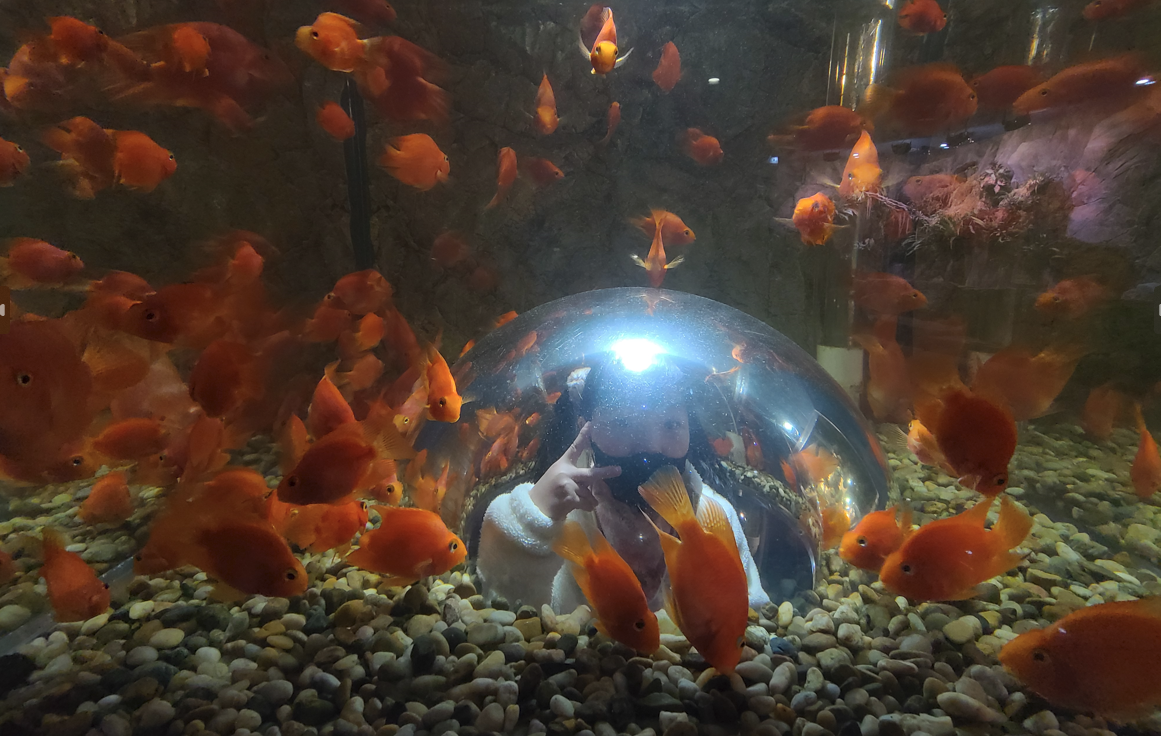 external_image external_image