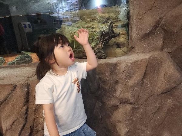 KakaoTalk_20260525_000743750.jpg