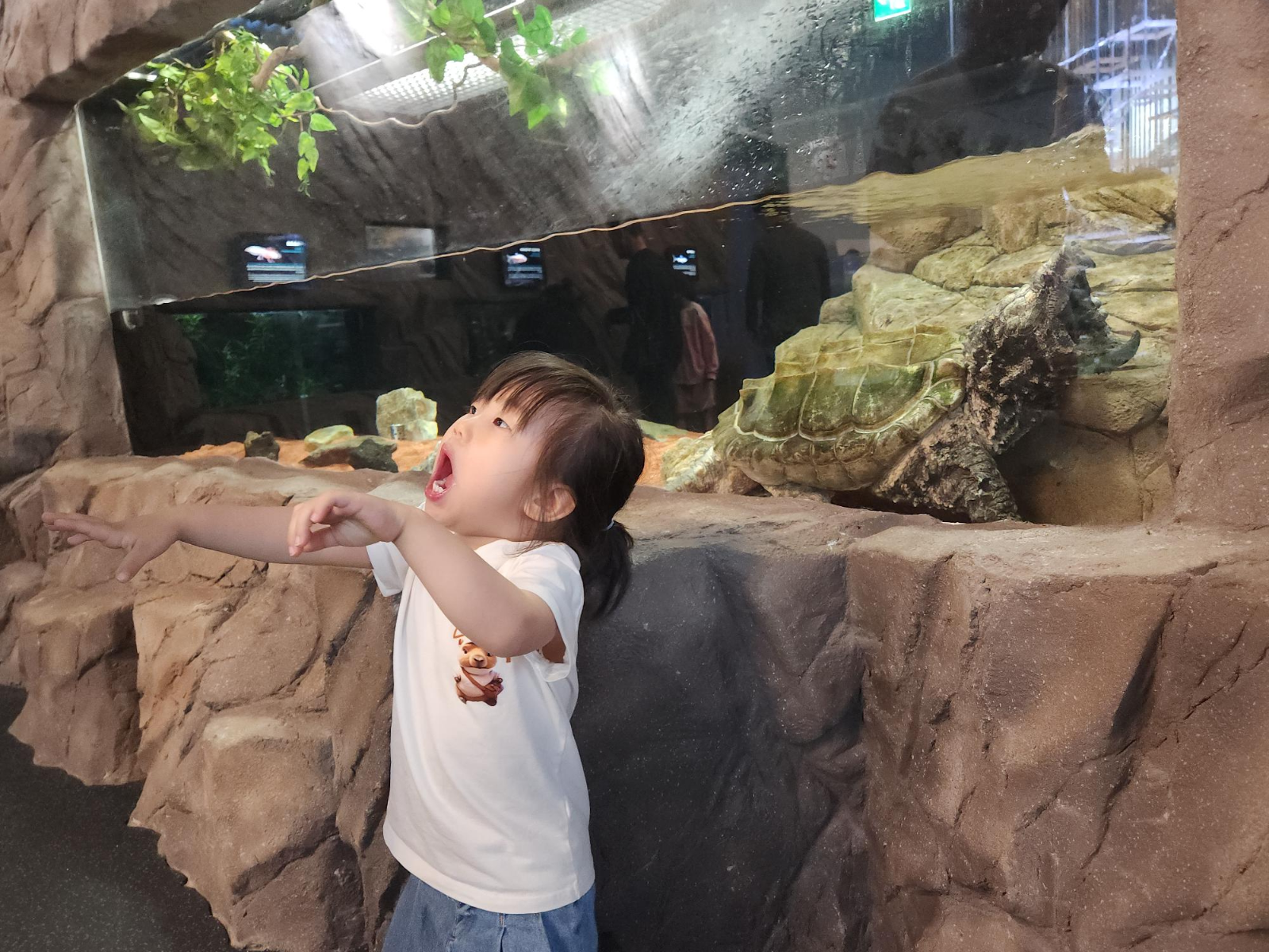 KakaoTalk_20260525_000743750_01.jpg