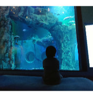 external_image external_image