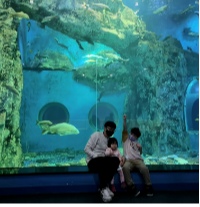 external_image external_image