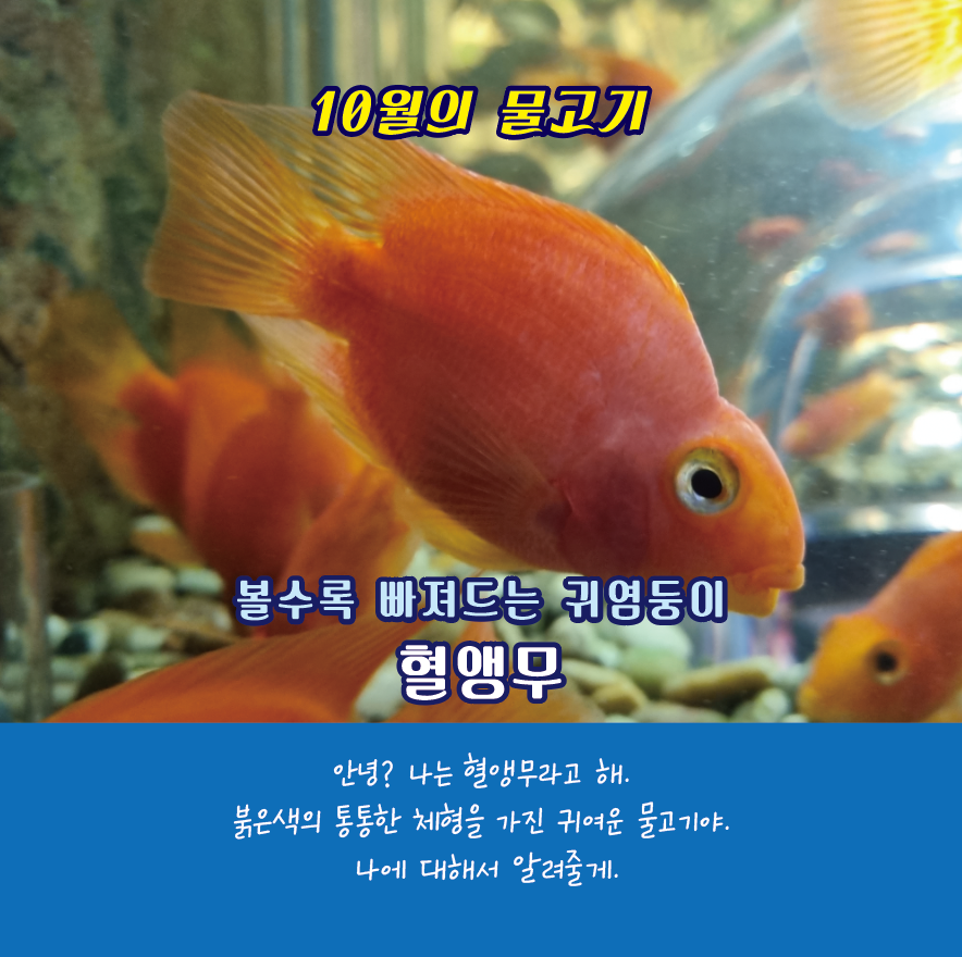 단양 다누리 아쿠아리움